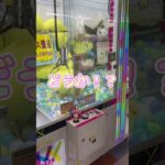 がんばれ！！！#shorts #クレーンゲーム #ufoキャッチャー