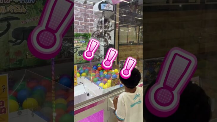 クワガタ欲しいね😆✨がんばれ！！！#shorts #クレーンゲーム #ufoキャッチャー