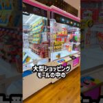 取れないと噂のゲーセン…実は優良店でした😳 #shorts #クレーンゲーム #ufoキャッチャー # ゲーセン #ゲームセンター #arcade