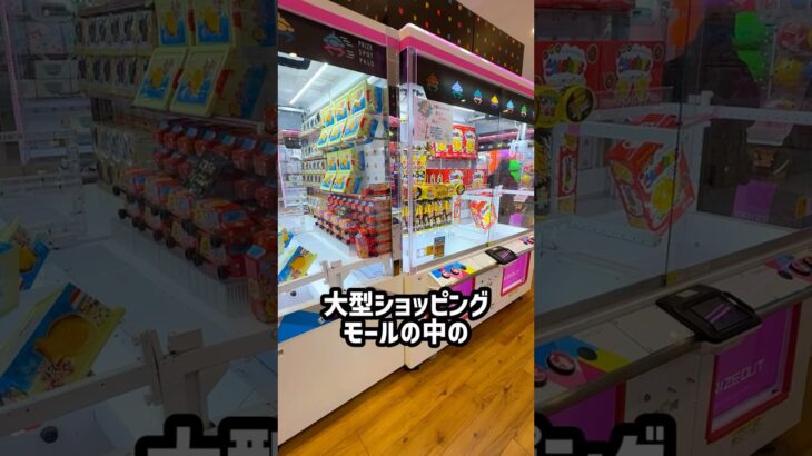 取れないと噂のゲーセン…実は優良店でした😳 #shorts #クレーンゲーム #ufoキャッチャー # ゲーセン #ゲームセンター #arcade