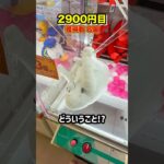 熊本に新しくできるゲーセンでカートパンパンするのにいくらかかるか挑戦してみたら、、、#shorts #クレーンゲーム #ufoキャッチャー #ゲーセン #ゲームセンター #arcade
