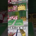 フック攻略！初心者必見🔰#shortvideo #shorts #short #クレーンゲーム #ufoキャッチャー #ゲームセンター #フック攻略