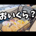 【クレーンゲーム】フックの神様!?少年が超優良ゲームセンターで食料品やポケモンを狙ったら衝撃の結果に···【ufoキャッチャー 回遊館】