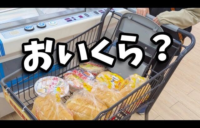 【クレーンゲーム】フックの神様!?少年が超優良ゲームセンターで食料品やポケモンを狙ったら衝撃の結果に···【ufoキャッチャー 回遊館】