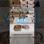 フック完全攻略！？#クレーンゲーム #クレーンゲーム攻略 #ufoキャッチャー #ゲーセン #ゲームセンター