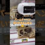 バームクーヘン取れるかな？😍 #ゲームセンター #クレーンゲーム景品 #クレーンゲーム #クレーンゲーム攻略 #ufoキャッチャー #ミニクレーンゲーム