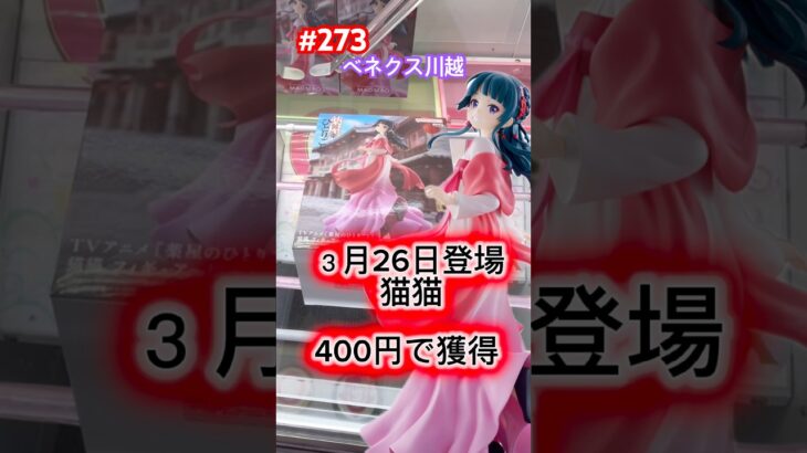 初日設定の猫猫〜街歩き〜を逆縦で取る #クレーンゲーム #ufoキャッチャー #ベネクス川越 #猫猫 #薬屋のひとりごと