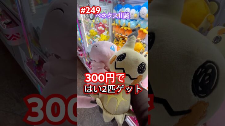 処分台はお得‼︎ #クレーンゲーム #ufoキャッチャー #ベネクス川越 #ポケモン　#ぬいぐるみ