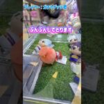 銀魂吉原大炎上ちびぐるみ取ってみた‼️ #ゲームセンター #プライズ獲得 #クレーンゲーム #確率機 #ゲーセン #ufoキャッチャー #銀魂吉原大炎上 #銀魂#攻略 #つるなか