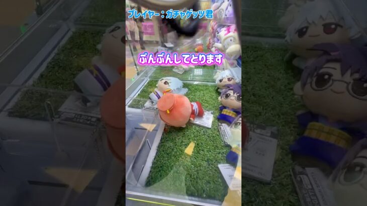 銀魂吉原大炎上ちびぐるみ取ってみた‼️ #ゲームセンター #プライズ獲得 #クレーンゲーム #確率機 #ゲーセン #ufoキャッチャー #銀魂吉原大炎上 #銀魂#攻略 #つるなか
