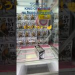 箱を立てることが獲得への近道！　 #クレーンゲーム  #クレゲ #ufoキャッチャー #初心者 #攻略 #ベネクス川越 #フィギュア #ワンピース #レイリー