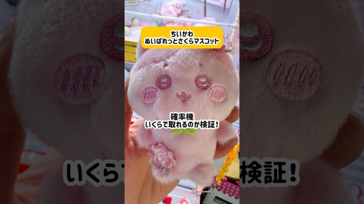 【ベネクス浦和店】ちいかわ最新景品確率機でいくらで取れるか検証！！#ufoキャッチャー #クレーンゲーム #ちいかわ #ハチワレ #うさぎ #確率機 #検証