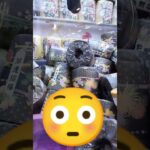 このクレーンゲームめっちゃ好き♥️ #クレーンゲーム #クレーンゲーム攻略 #ゲームセンター #クレーンゲーム景品 #ufoキャッチャー #ミニクレーンゲーム