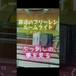 葬送のフリーレン　ルームライト　ぶっ刺しの夢を見る　 #クレーンゲーム #当たり動画 #ゲームセンター #プライズ獲得 #ufoキャッチャー #橋渡し #ゲーセン
