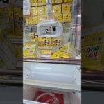 カルパス#クレーンゲーム #プライズ獲得 #ゲームセンター #ゲーセン #ufoキャッチャー #アミパラ #佐世保 #大塔 #末広がり #橋渡し攻略