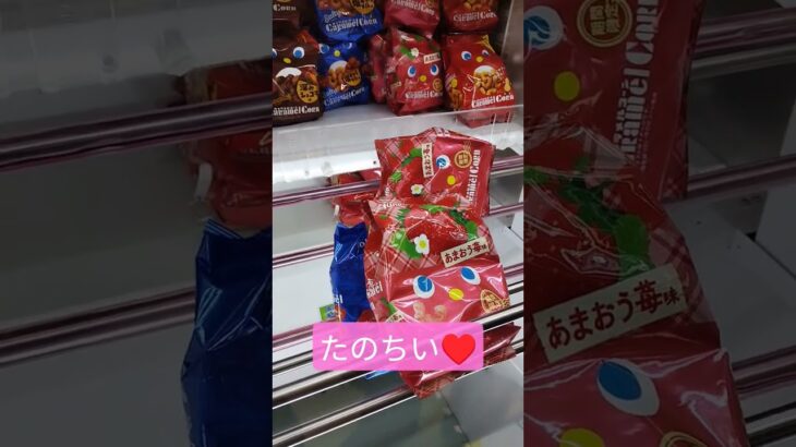 上手に取れたよね？☺️ #クレーンゲーム #クレーンゲーム攻略 #ゲームセンター #クレーンゲーム景品 #ufoキャッチャー #ミニクレーンゲーム