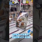 【僕のヒーローアカデミア】ミルコフィギュアをゴッとん #ufoキャッチャー攻略 #クレーンゲーム #プライズ獲得 #ヒロアカフィギュア#ミルコフィギュア