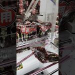 取らせる気あります？🤣 #クレーンゲーム #クレーンゲーム攻略 #クレーンゲーム景品 #ゲームセンター #ufoキャッチャー #ミニクレーンゲーム #ゲーセン