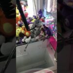 クレーンゲーム　#クレーンゲーム #クレーンゲーム攻略 #ufoキャッチャー #100円娯楽 #伊東市 #伊東温泉 #short #shorts #ufoキャッチャー #10short #shorts