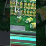 クレーンゲーム　#クレーンゲーム #クレーンゲーム攻略 #ufoキャッチャー #100円娯楽 #伊東市 #伊東温泉 #short #shorts #ufoキャッチャー #10short #shorts