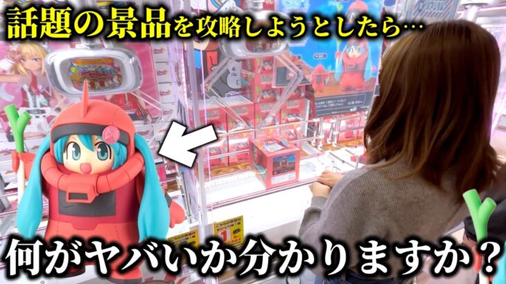 【クレーンゲーム】壮絶…話題の景品を攻略しようとしたら衝撃な展開になりました…【ufoキャッチャー】