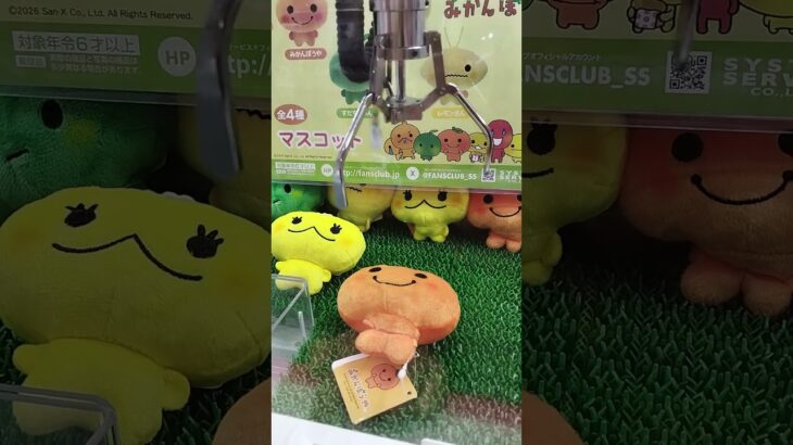 みかんぼうやかわちい🌟 #ゲームセンター #クレーンゲーム攻略 #クレーンゲーム #クレーンゲーム景品 #ミニクレーンゲーム #ufoキャッチャー