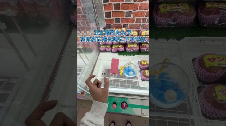 初心者は知らないクレーンゲームで景品乱獲する方法がヤバすぎた #クレーンゲーム #ゲームセンター #ufoキャッチャー