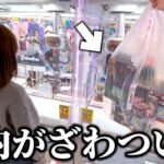 【クレーンゲーム】噂の店舗で人気景品を狙ったら絶対にやってはいけない形を見つけました…【ufoキャッチャー】