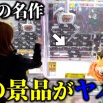 【クレーンゲーム】話題の景品を狙ったら絶対やってはイケない形を見つけてしまいました…【ufoキャッチャー】