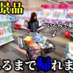 【クレーンゲーム】本気攻略！？人気景品をコスパ良く取ろうとしたら衝撃映像が撮れました…【ufoキャッチャー】