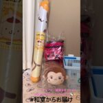 【📍おたいちポップワールド岐阜大垣店】#ufoキャッチャー #クレーンゲーム景品 #クレーンゲーム動画 #クレーンゲーム#GET品#クレーンゲーム攻略#夾娃娃店#和室からお届け#おたいち#おたぽ