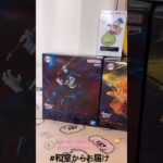 【📍お宝発見一宮店】#ufoキャッチャー #クレーンゲーム景品 #クレーンゲーム動画 #クレーンゲーム#GET品#クレーンゲーム攻略#夾娃娃店#和室からお届け#お宝発見