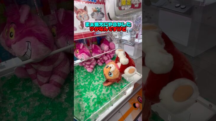 ミスしてからが大事！フォロー🙏 #クレーンゲーム #ゲームセンター #ufoキャッチャー #ゲーセン #arcade #japan #clawmachine #ぬいぐるみ #kawaii #fyp