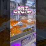 【ちいかわ】チャンス！ #クレーンゲーム #ゲームセンター #ufoキャッチャー #ゲーセン #ちいかわ #chiikawa #clawmachine #攻略 #ぬいぐるみ #cranegame