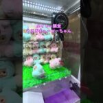 ラブブより可愛い！？#クレーンゲーム #ゲームセンター #ufoキャッチャー #ゲーセン #clawmachine #タイトーステーション #shorts #viralshorts