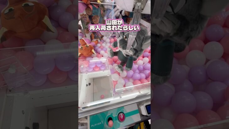 【急げ】大人気❣️声優が山田涼介❣️前回取れなかった人ぜひ❣️ #クレーンゲーム #ゲームセンター #ufoキャッチャー #cranegame #clawmachine #山田涼介 #인형뽑기 #攻略