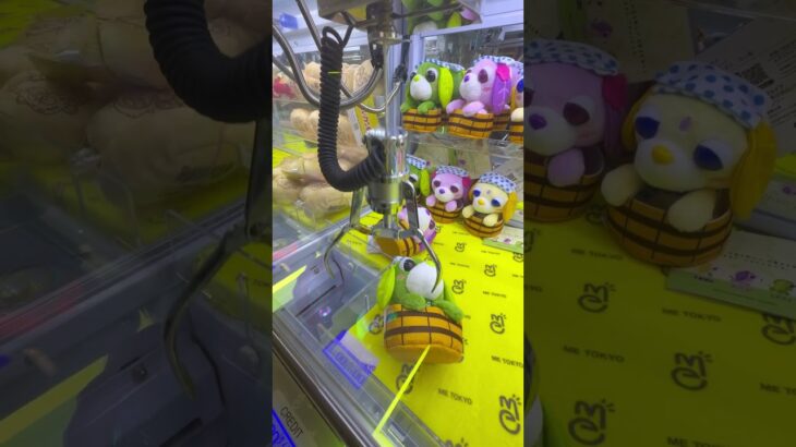 お茶犬🌱#ゲームセンター #ゲーセン #クレーンゲーム #ufoキャッチャー #japantravel #平成レトロ #shorts #viralshorts