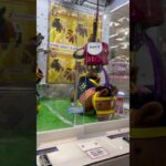 #サラブレッドコレクション #攻略法 #クレーンゲーム #ufoキャッチャー #ウマ娘 #エアグルーヴ#ゲーセン #ゲームセンター #サラブレッドコレクションokぬいぐるみ