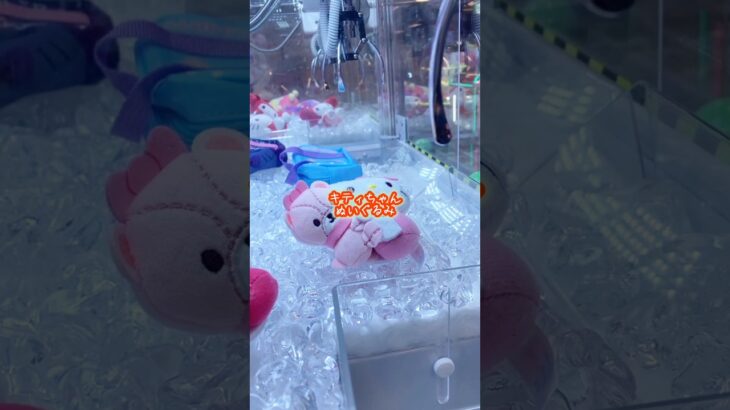 #クレーンゲーム #クレゲー #ufoキャッチャー #ハローキティ #ぬいぐるみ #sanrio #サンリオ #攻略 #景品 #ゲームセンター #ゲーセン #shorts