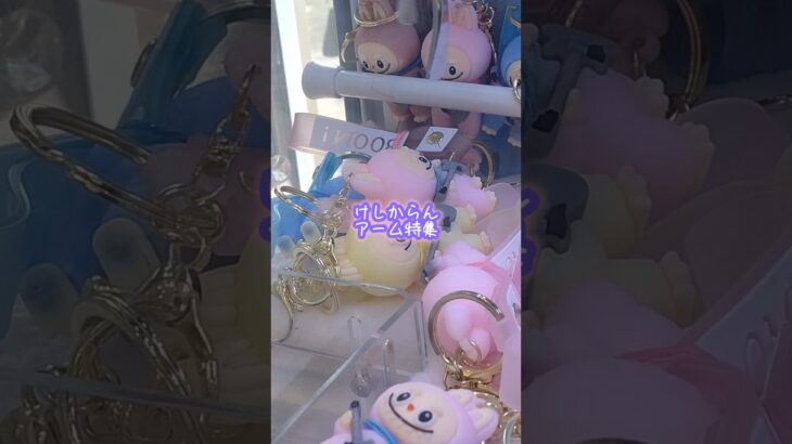 #クレーンゲーム #クレゲー #ufoキャッチャー #ぬいぐるみ #景品 #攻略 #ゲームセンター #ゲーセン #shorts