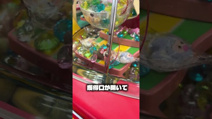 〜昨日の続き〜ラブブもどきゲット#クレーンゲーム #ufoキャッチャー #ゲームセンター #攻略 #ベネクス #ラウンドワン #shorts #followme #ラブブ