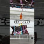 これの攻略法が知りたい　#クレーンゲーム #ufoキャッチャー #ゲームセンター #攻略 #ベネクス #ラウンドワン #shorts #followme