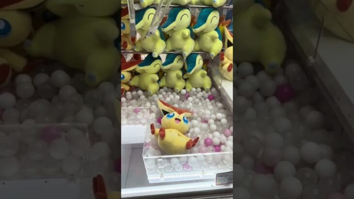 クレーンゲーム/ビクティニ(ポケモン)#クレーンゲーム#ufoキャッチャー#コツ#確率無視#shorts