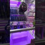 以前は得意な傘ufoキャッチャーだったんですがw④  #shorts   #フック #夾娃娃機 #ゲームセンター #uFoキャッチャー ＃夾娃娃＃ゲーセン＃倉庫系 #クレーンゲーム #ゲッタースピン