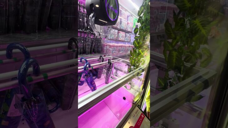 以前は得意な傘ufoキャッチャーだったんですがw③  #shorts   #フック #夾娃娃機 #ゲームセンター #uFoキャッチャー ＃夾娃娃＃ゲーセン＃倉庫系 #クレーンゲーム #ゲッタースピン