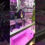 以前は得意な傘ufoキャッチャーだったんですがw②  #shorts   #フック #夾娃娃機 #ゲームセンター #uFoキャッチャー ＃夾娃娃＃ゲーセン＃倉庫系 #クレーンゲーム #ゲッタースピン