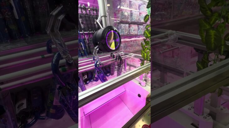 以前は得意な傘ufoキャッチャーだったんですがw②  #shorts   #フック #夾娃娃機 #ゲームセンター #uFoキャッチャー ＃夾娃娃＃ゲーセン＃倉庫系 #クレーンゲーム #ゲッタースピン