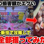 【新技公開】サービスエリアに置かれている確率機を業者にバレるまで乱獲し続けたらいくら儲かるのか!?【クレーンゲーム】