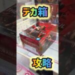 デカ箱攻略！からのシャンクス開封動画？！