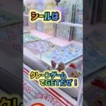 フック攻略！！！からの開封動画